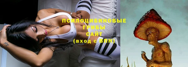 таблы Каменногорск