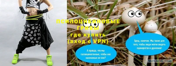 таблы Каменногорск