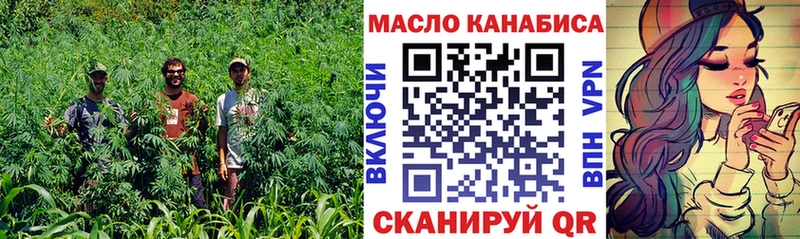 Купить где Железногорск-Илимский ТГК гашишное масло