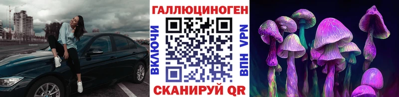 Купить где  Железногорск-Илимский  Галлюциногенные грибы Magic Shrooms 