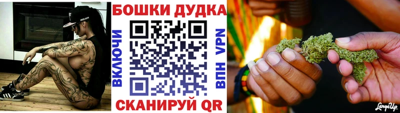 Конопля сатива  Купить  Железногорск-Илимский 